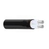Cap Ha The Cadivi Axv 2 300x300 1